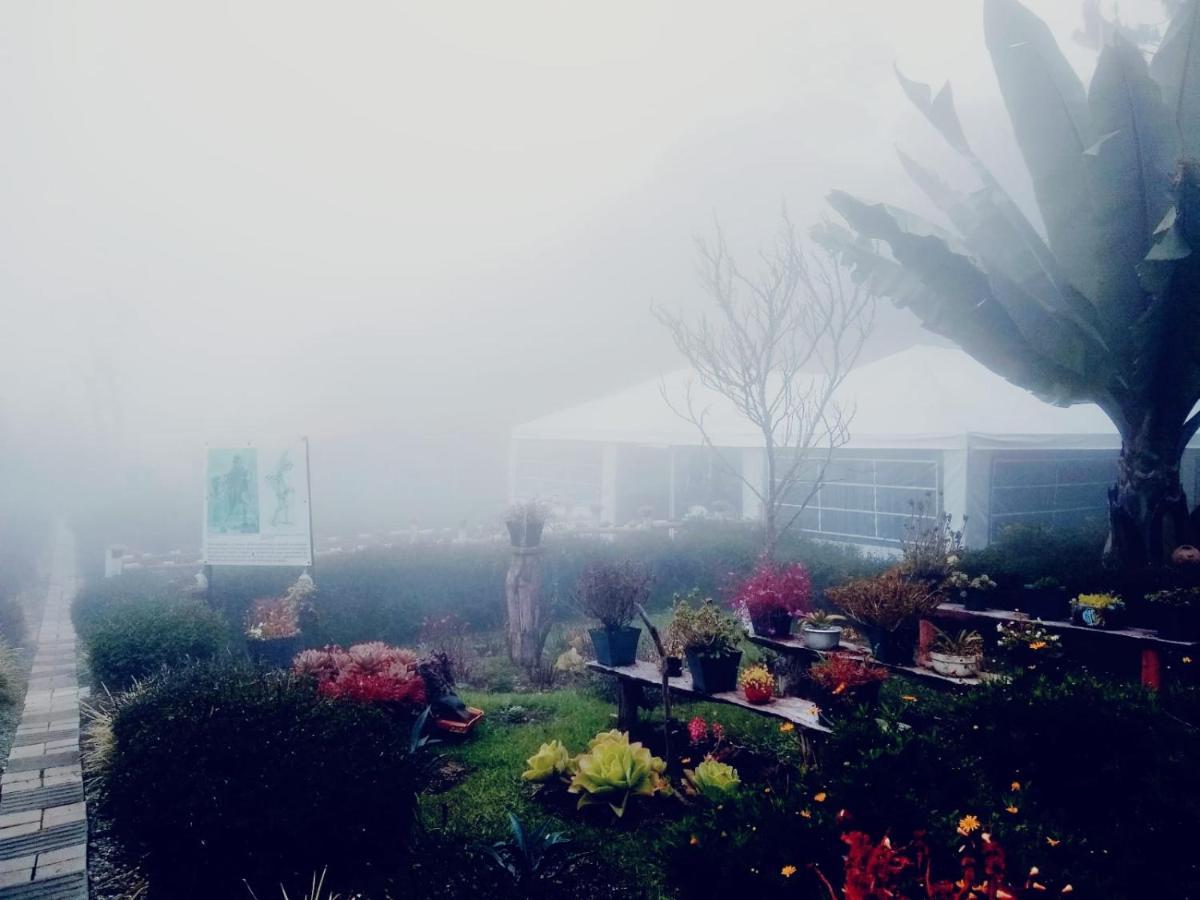 Hospedaje Santaelena -Chalets De Montana- Санта-Элена Экстерьер фото