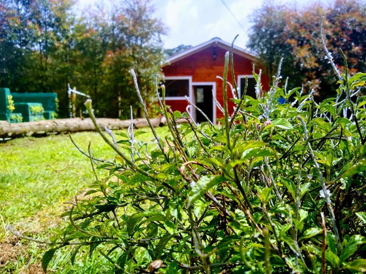 Hospedaje Santaelena -Chalets De Montana- Санта-Элена Экстерьер фото